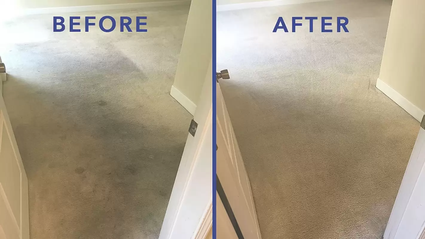 Have The Best Carpet Cleaning Company at Your Service In CA!