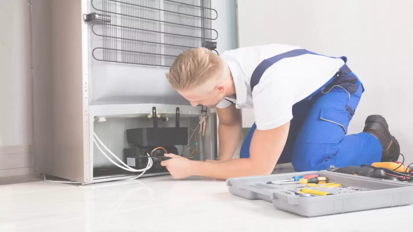 Keep Your Refrigerator In Top Shape With Our Reliable Refrigerator Repair Services in Alexandria, VA