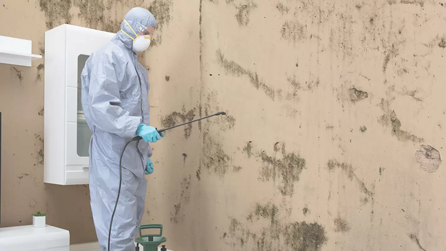 You Can Count on Us for Efficient Residential Mold Removal! in Altamonte Springs, FL