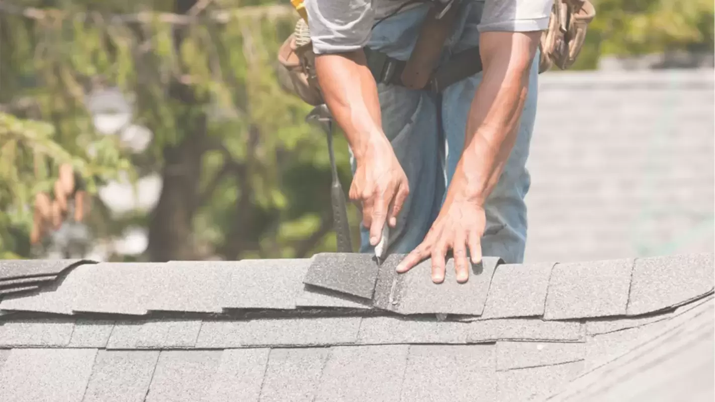 Our Roofing Repair Services Will Bring Reliable Workmanship