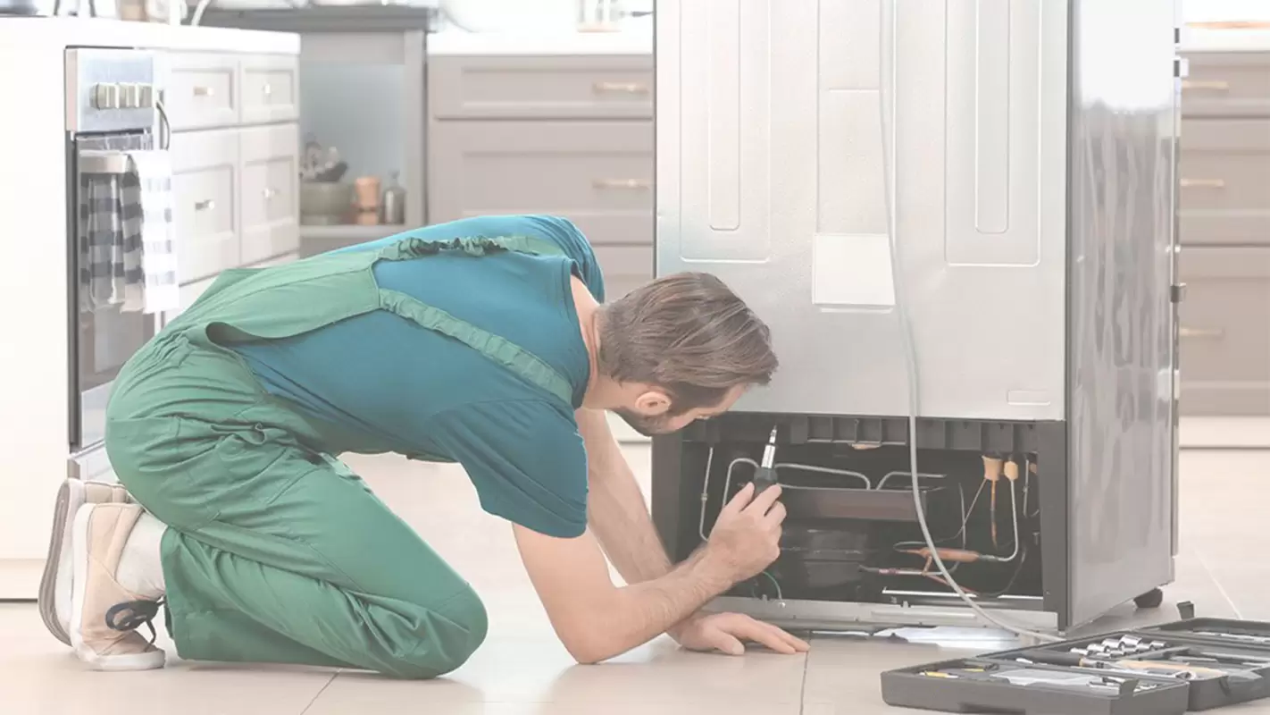 Professional Appliance Repair- Let’s Make Your Appliance Work Like New!