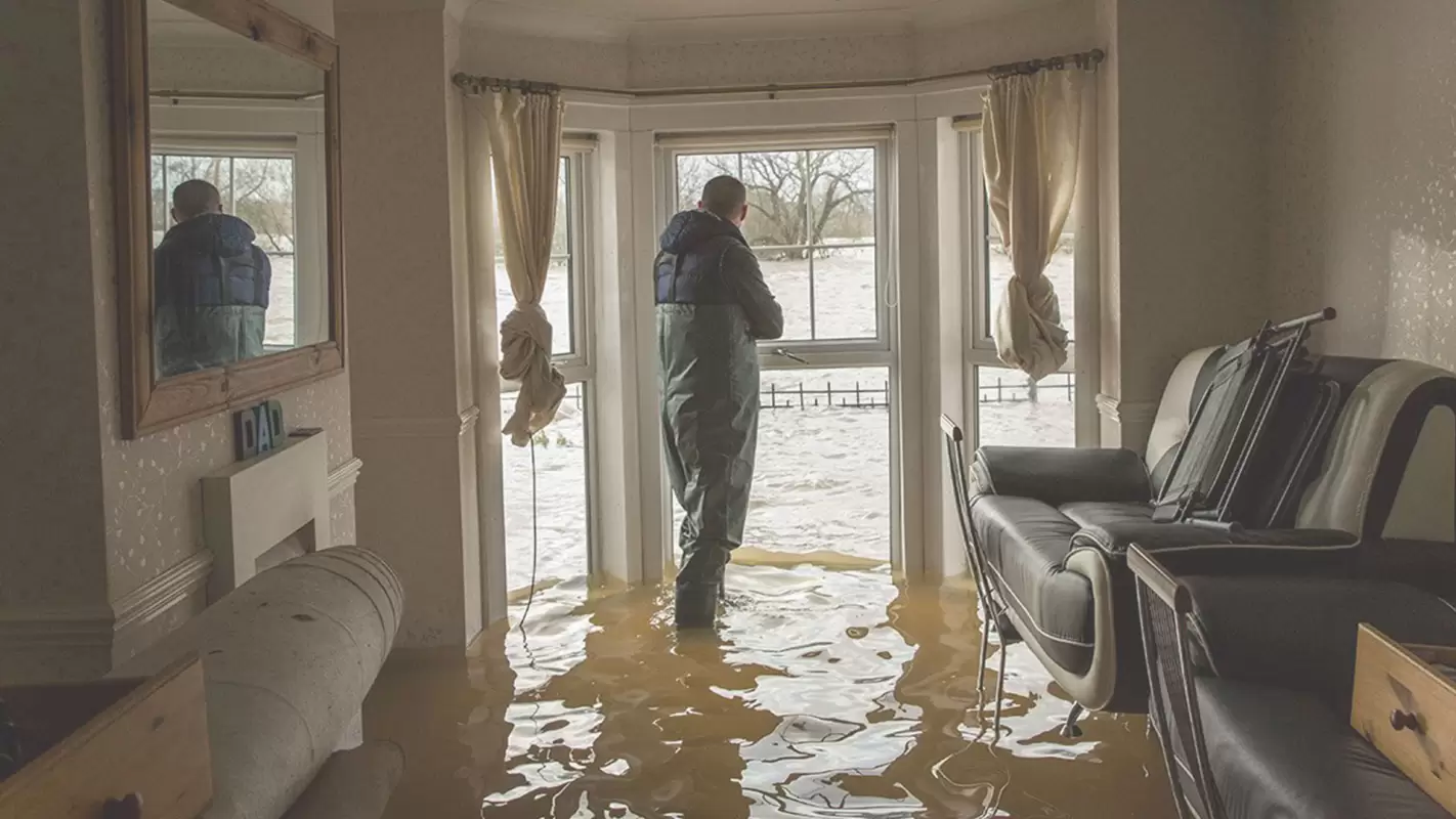 Water Cleanup Service by Experts!