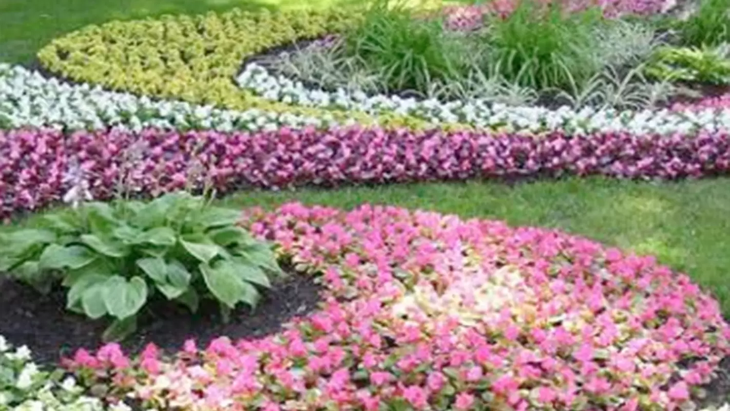 Distinctive Landscaping at Its Finest in Georgetown, TX!