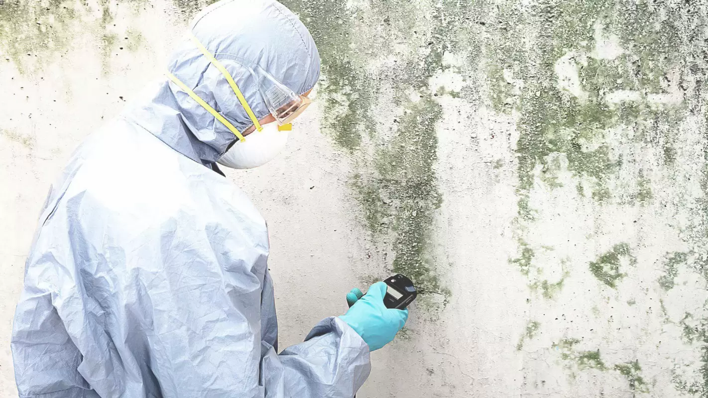Mold Can Grow Rapidly - Stay Ahead With A Timely Mold Inspection in Dayton, OH