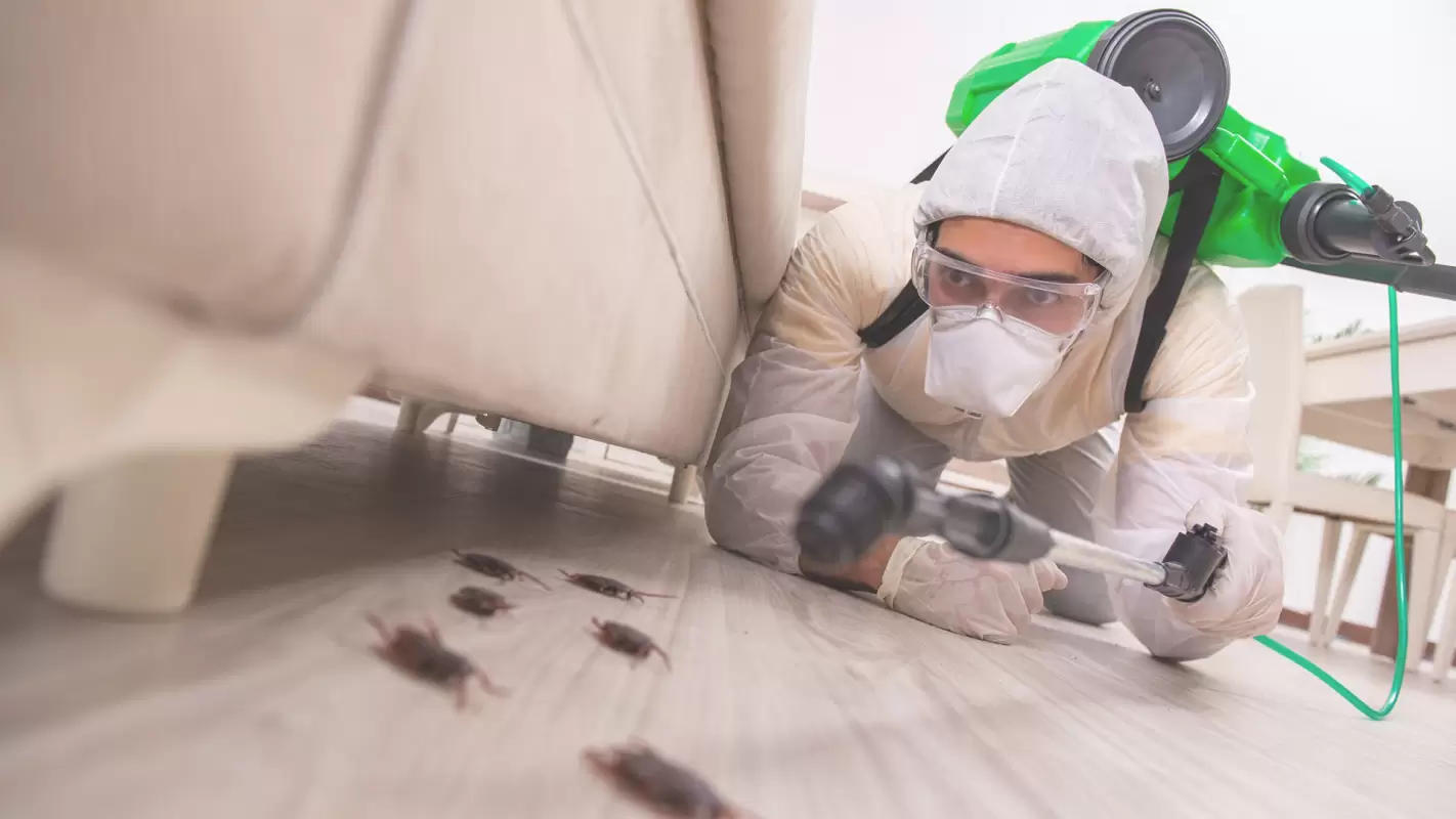 Erase the Itch and Irritation! Our Pest Control Services Create a Pest-Free Haven in Pembroke Pines, FL