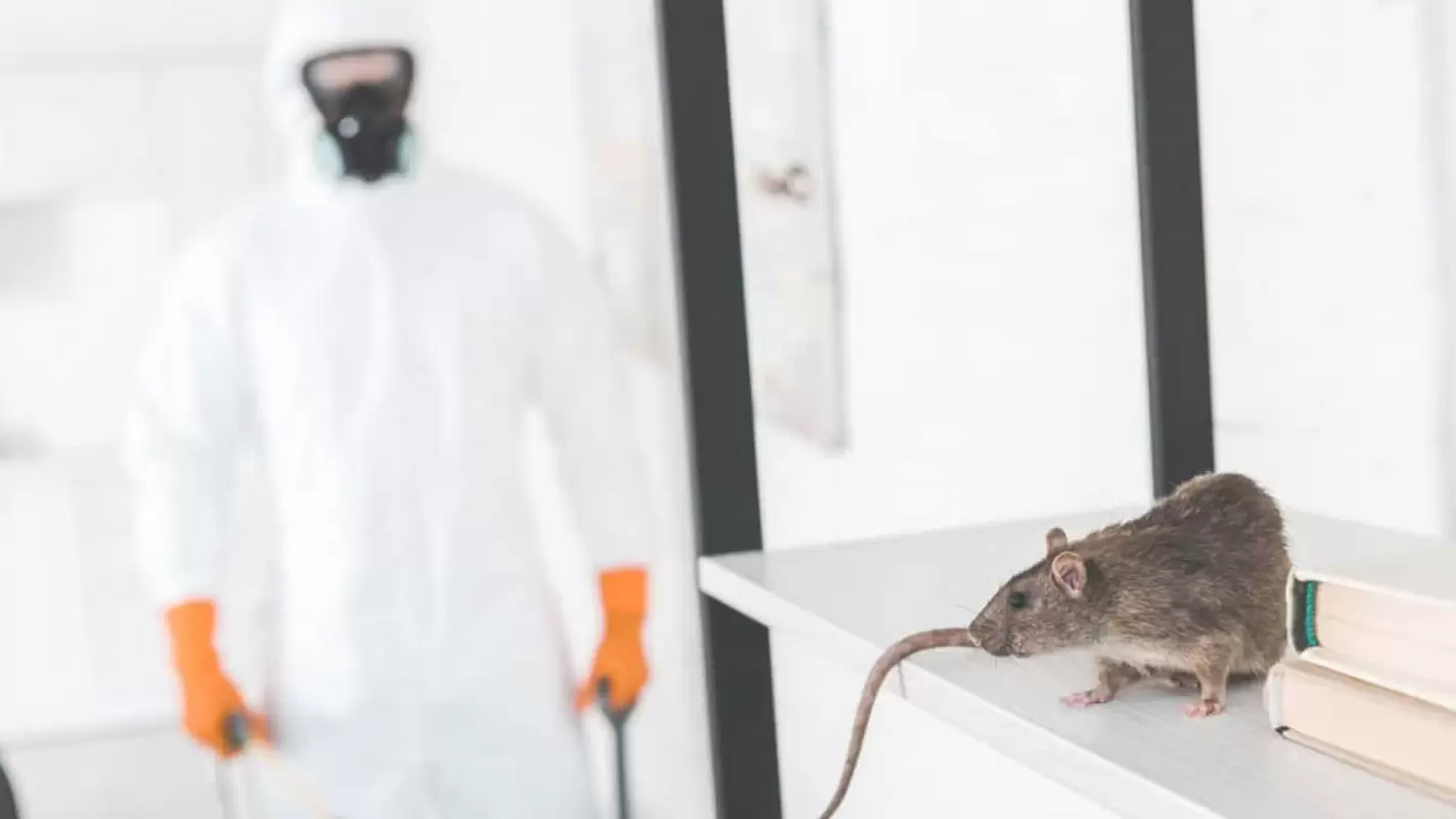 Rodent Control Services To Safeguard Your Family from Disease-Carrying Intruders in Pembroke Pines, FL