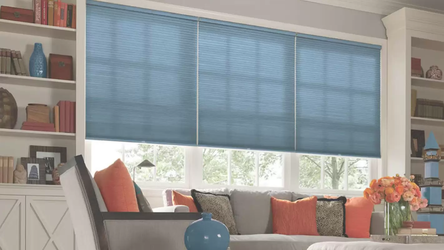Blinds Company Providing a Wide Range of Stunning Blinds!