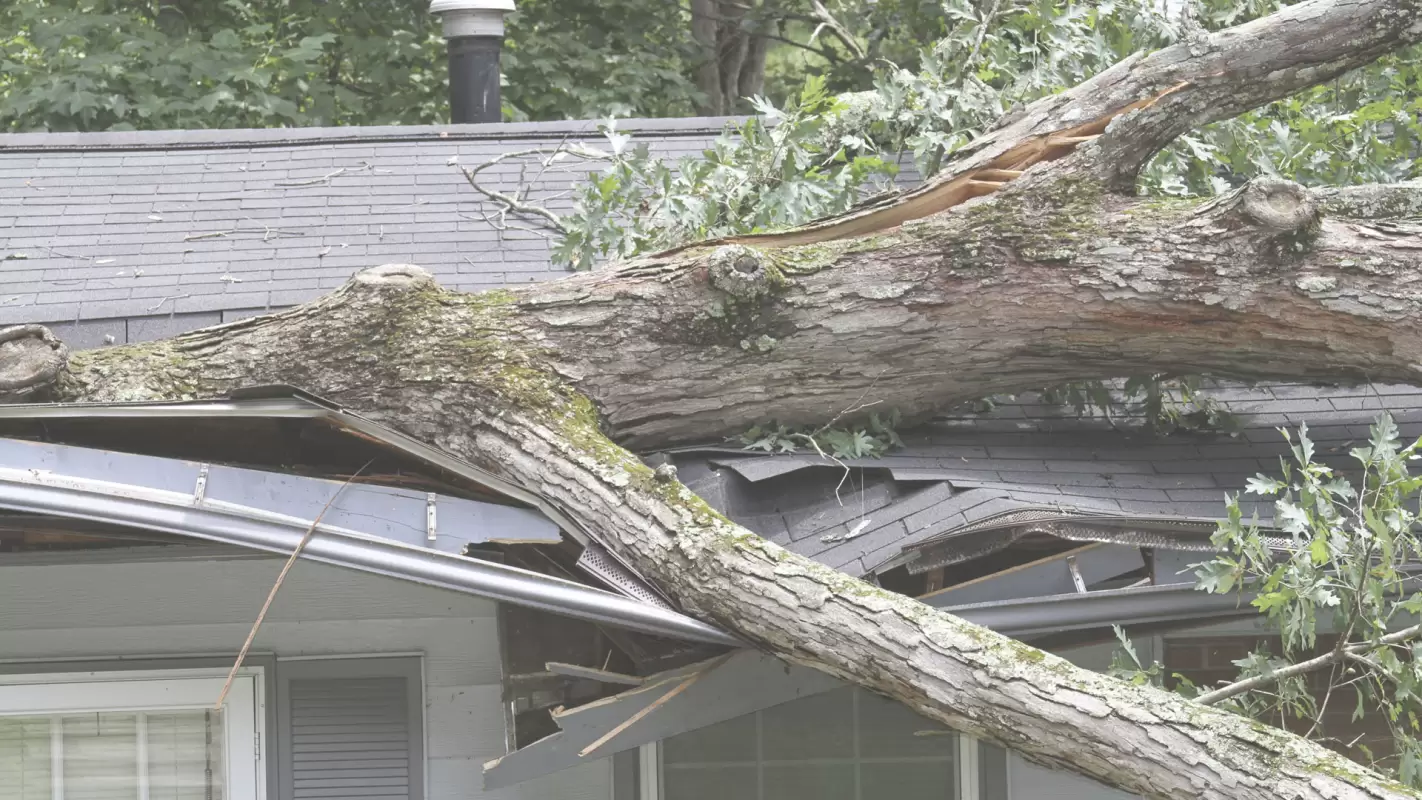 Storm Restoration- Turning Nature's Challenges Into Stunning Results