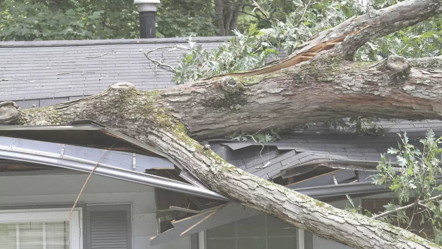 Storm Restoration to Maintain Your Building’s Structural Integrity!
