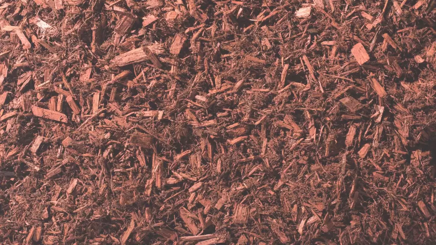 Mulching Services: Preserving Nature's Blanket For Healthier Landscapes in Franklin, KY