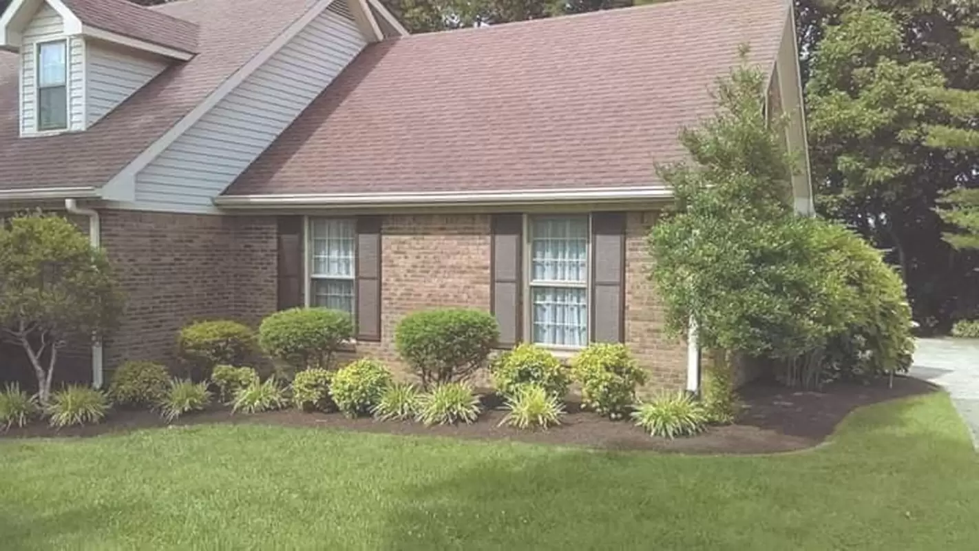 Landscaping Services: Crafting Nature's Beauty at Your Doorstep in Franklin, KY
