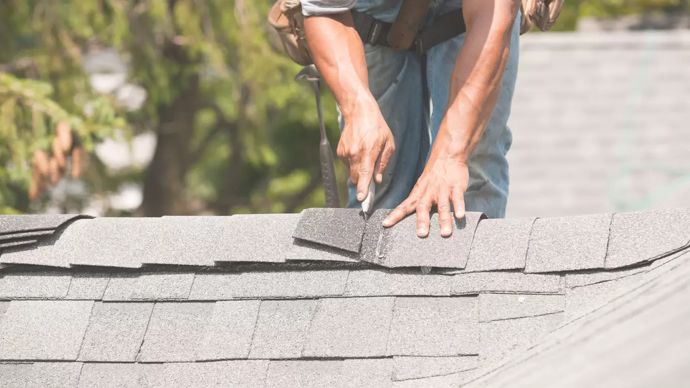 Local Roofing Company – Let Us Take Care of Your Roof! in New Albany, IN