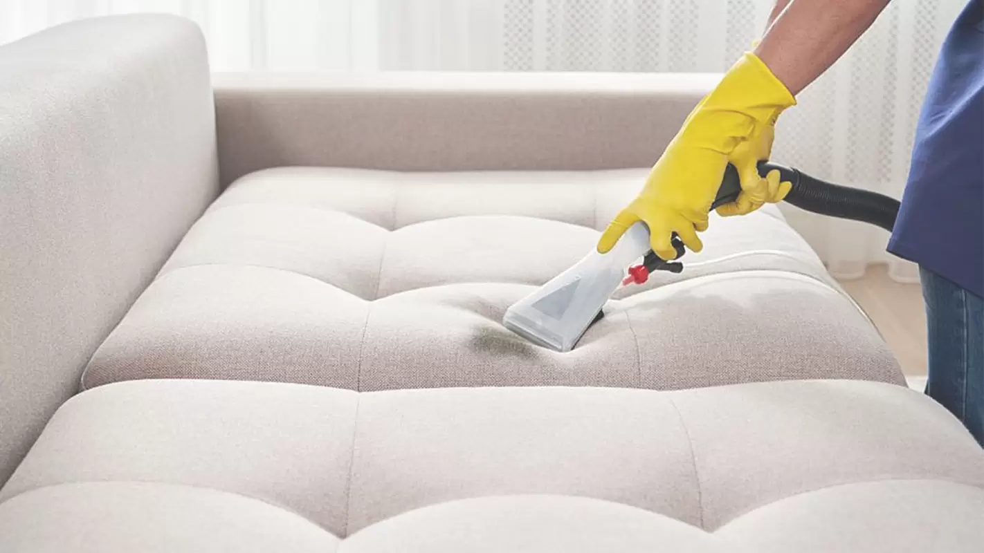 Expert Upholstery Cleaning for a Clean Living Space! in Raleigh, NC