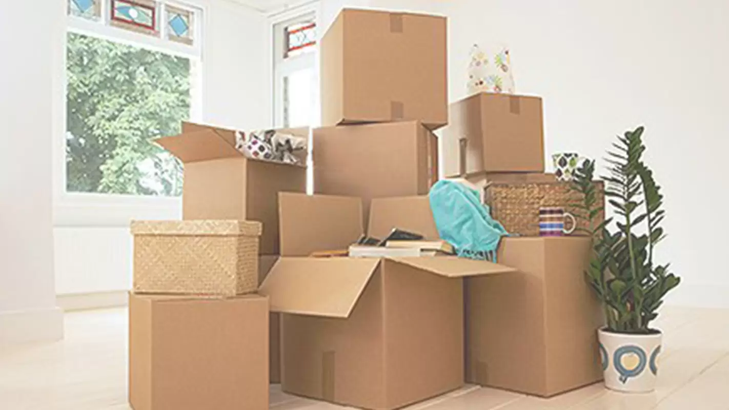 Professional Packing and Moving Services Near You in Lehi, UT