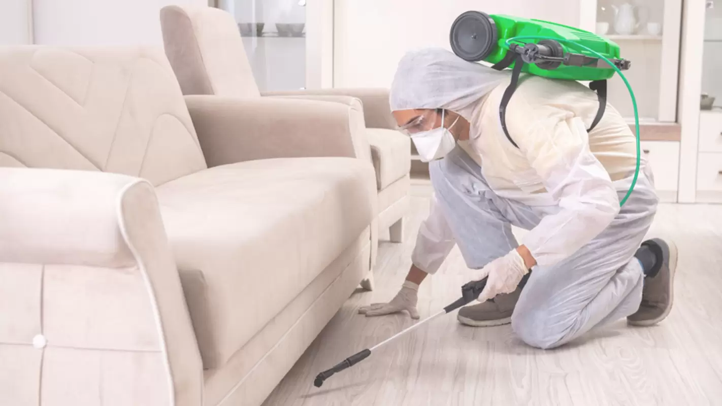 Experience Safe Pest Control without any Harm