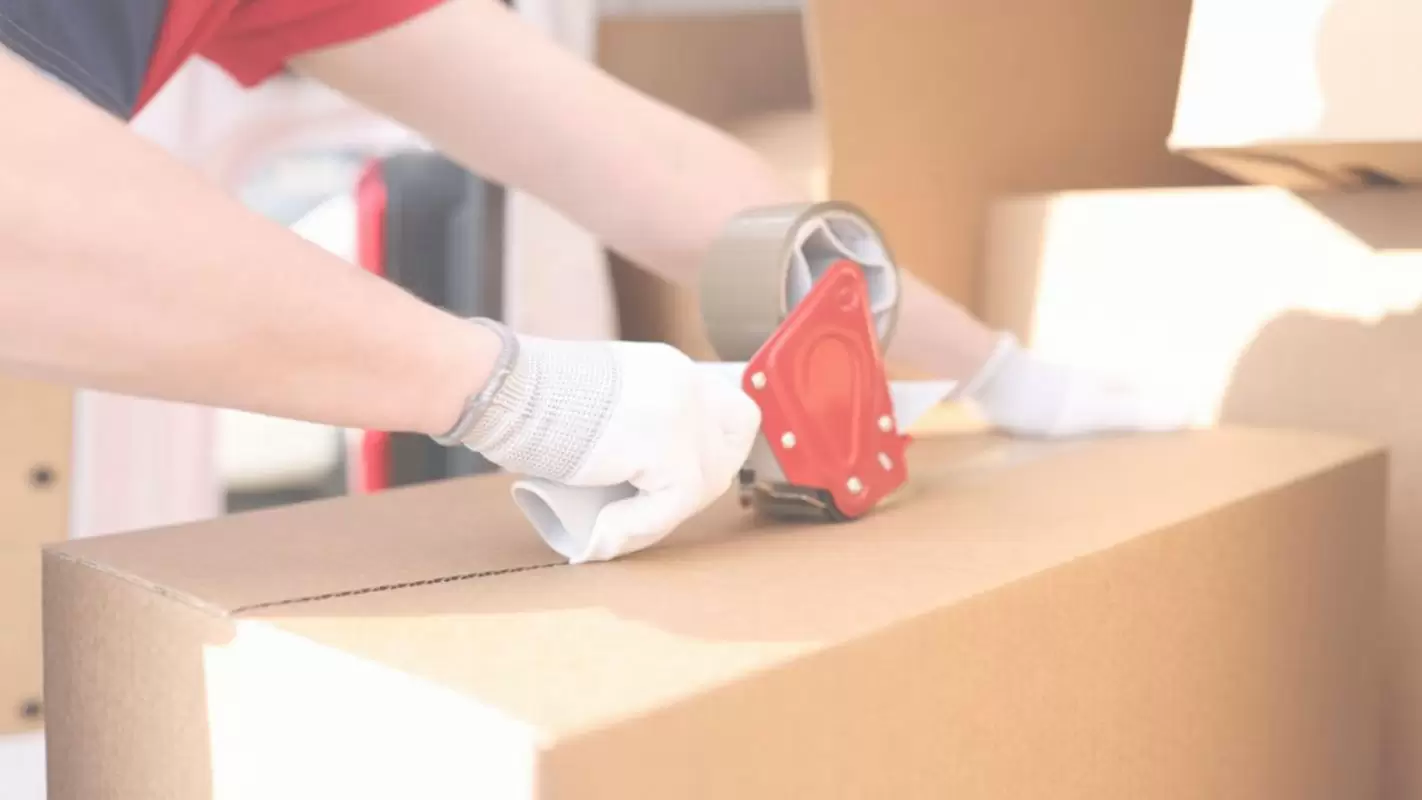 Professional Packing Services - A Cost-Effective Solution to Pack Up and Move!