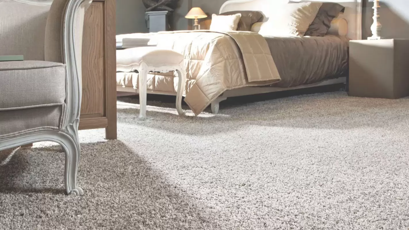 Get Exquisite Carpet Flooring for Comfort and Style! in Dallas, TX