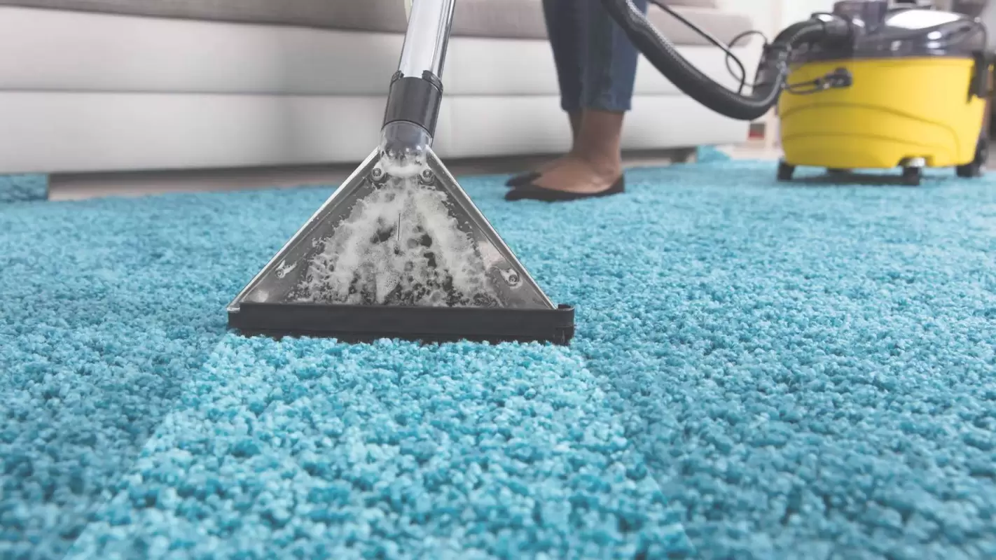 Carpets Deserve Love Too: Experience Carpet Cleaning Excellence! In Naples, FL