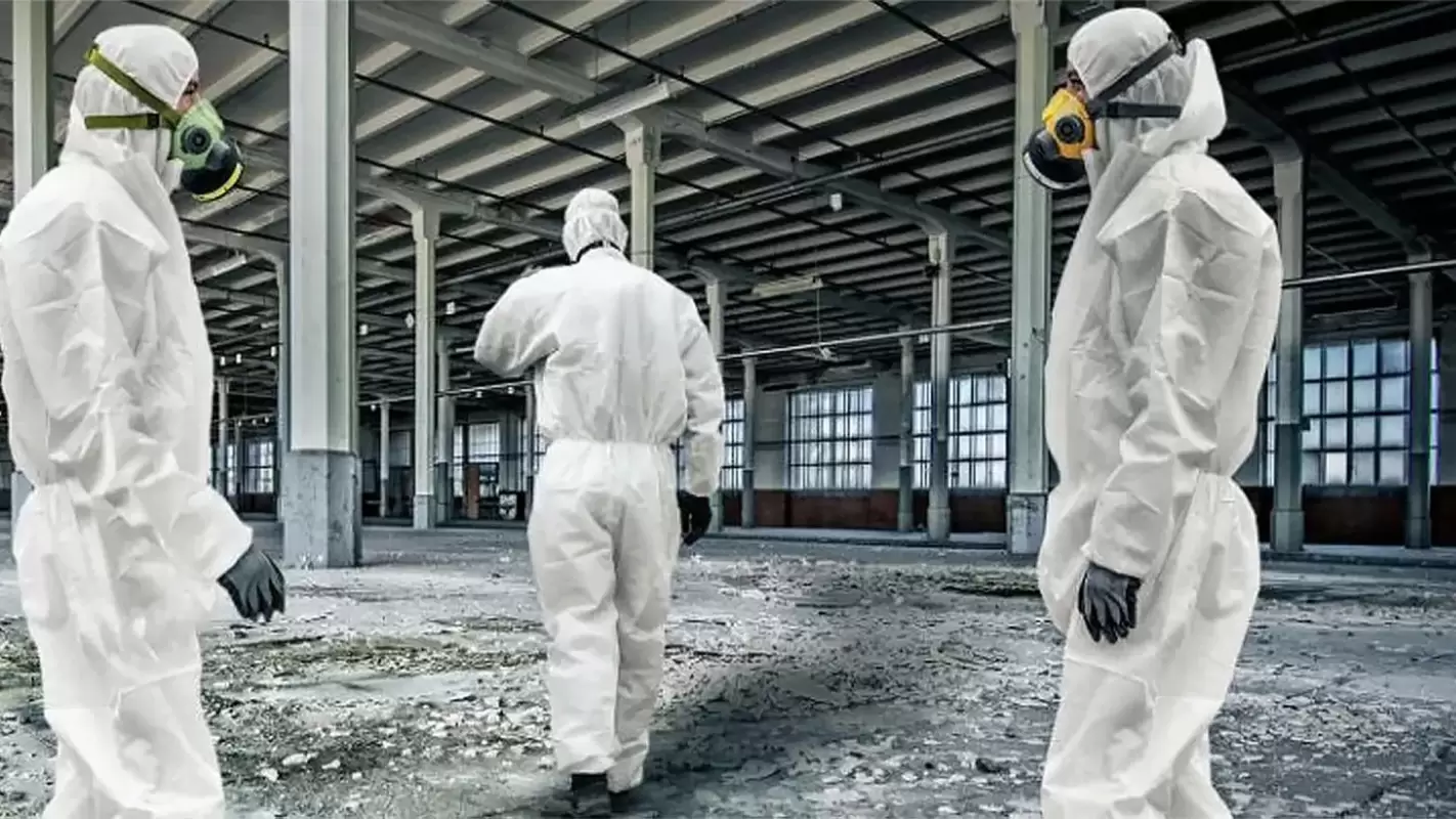 Our Asbestos Remediation Services Wage a Relentless War for Your Safety!