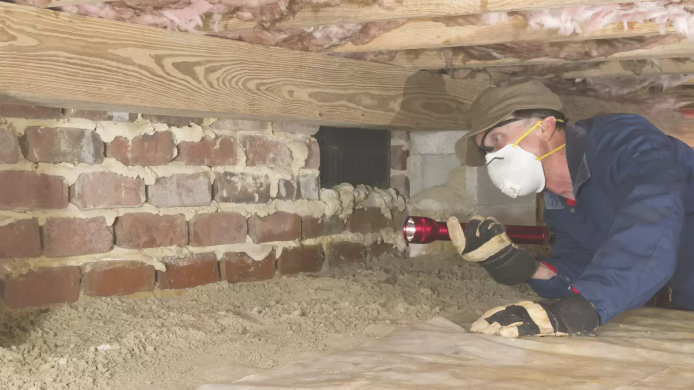 Ease your way with Crawl Space Inspection Services