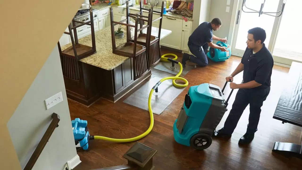 Trust Us to Navigate Your Water Removal & Drying in Frisco, TX
