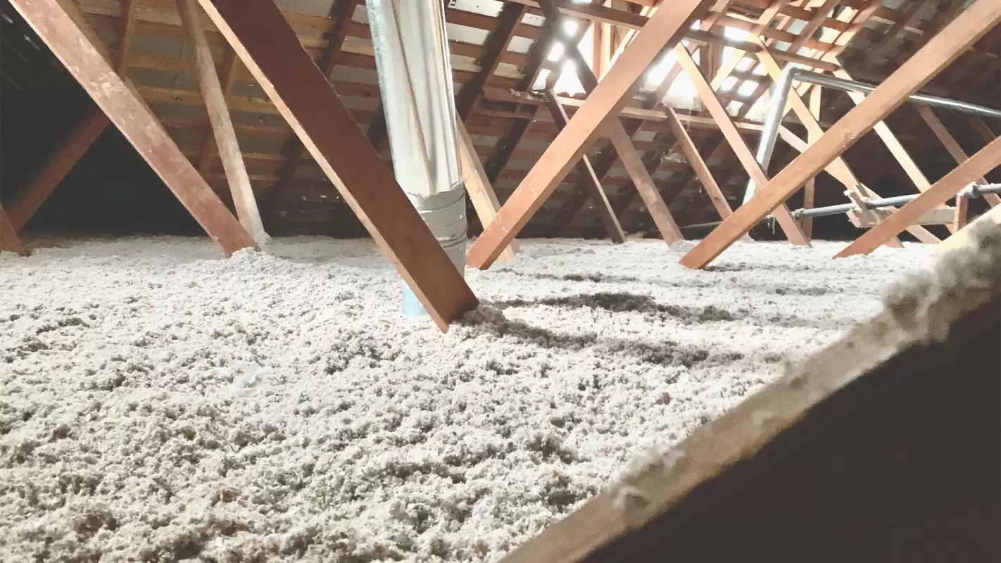 Best Insulation Services To Save You Money!