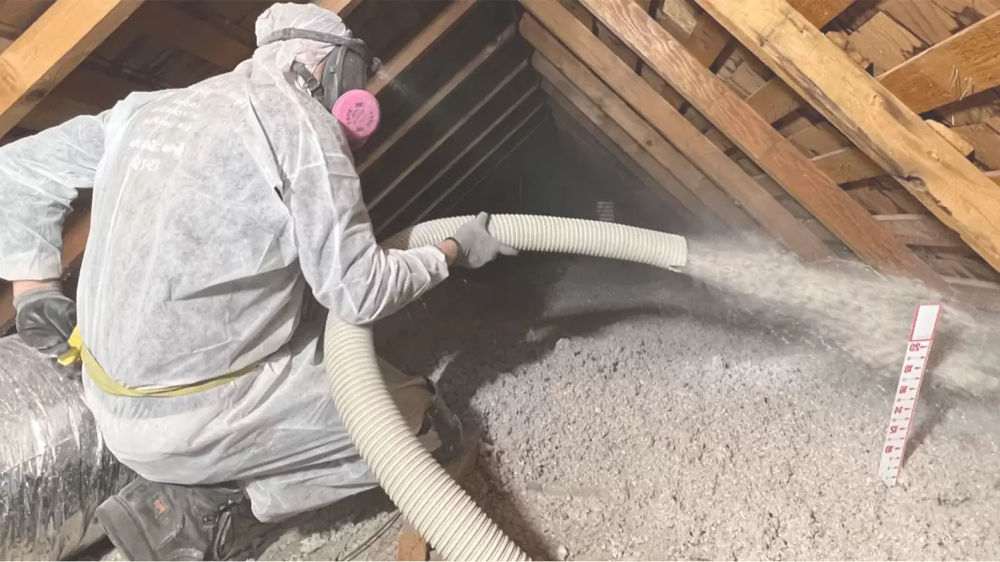 Insulation Services Without Breaking Your Bank