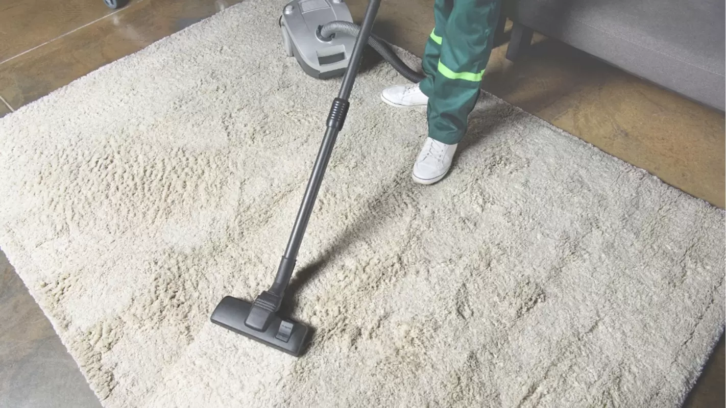 We take same day carpet cleaning seriously!