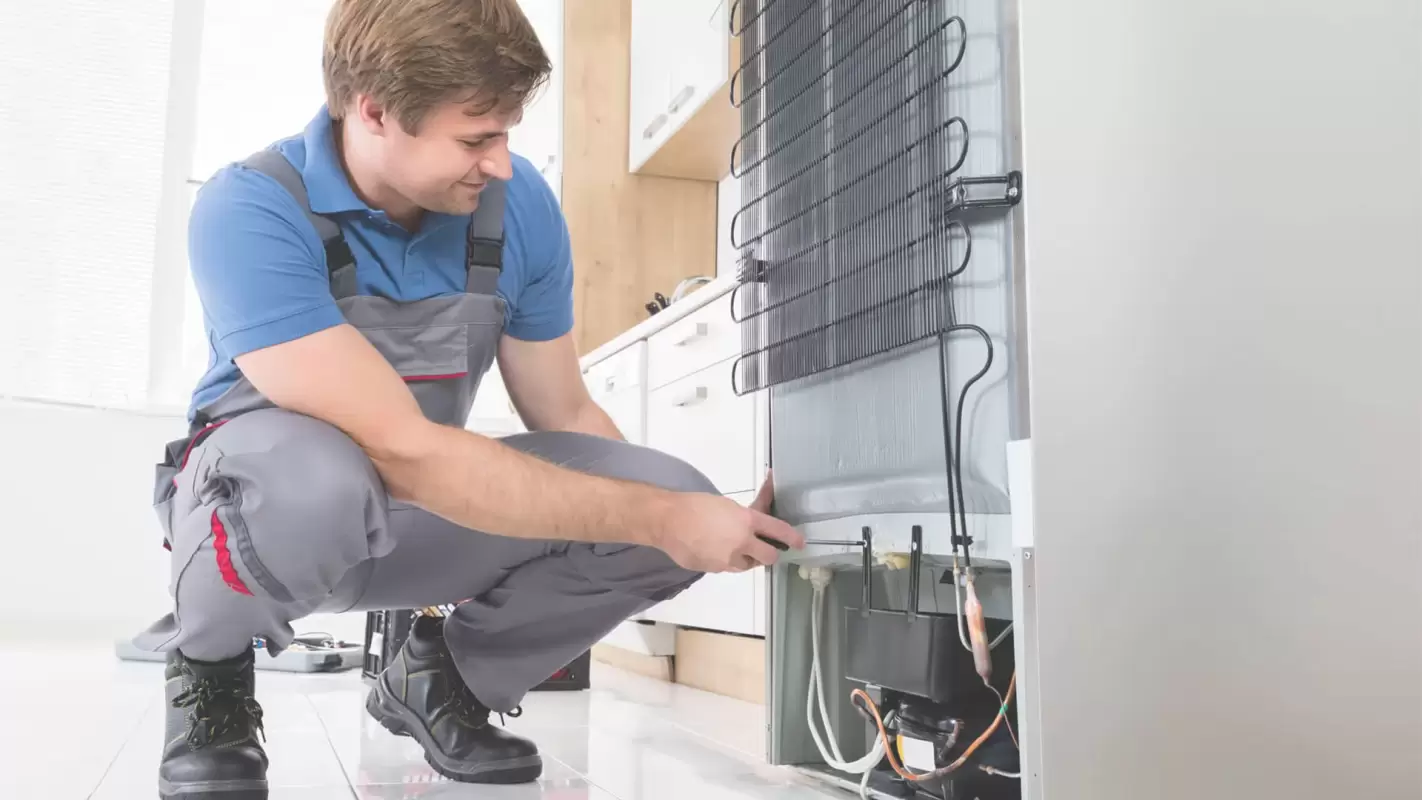 Residential Refrigeration Services: Key to Freshness Preservation