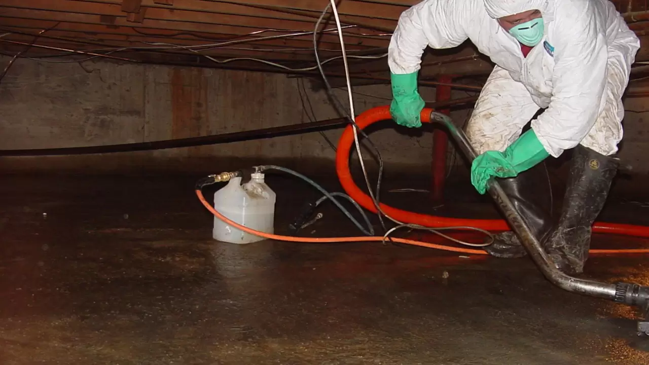Water Extraction Company That Offers Proactive Water Damage Solutions in Plano, TX