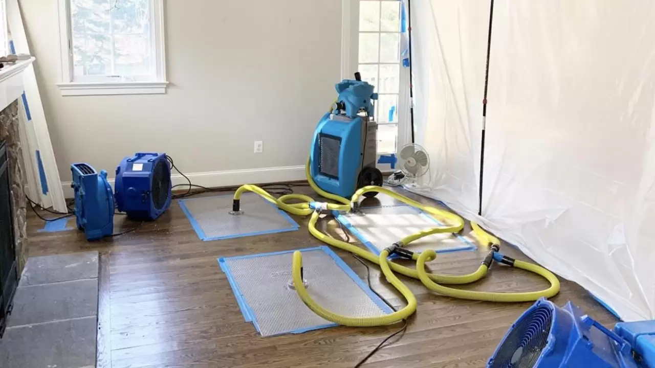 From Disaster to Bliss, with Our Water Extraction Services in Frisco, TX