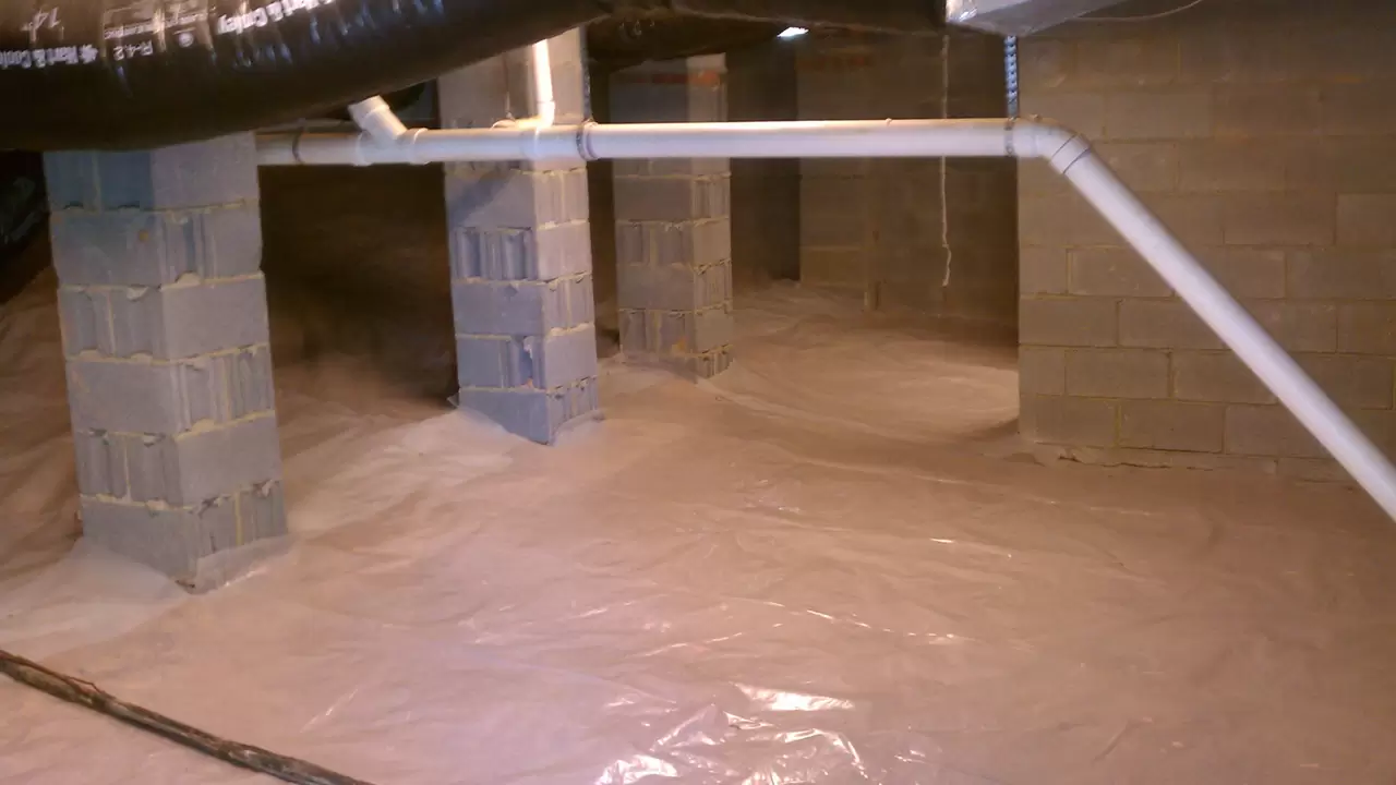 Keep the bugs away with our moisture control for basements in Lansing, MI