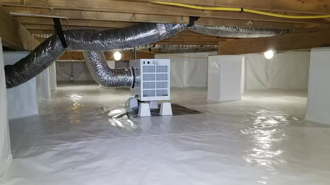 Moisture control services to get rid of pests and molds in Lansing, MI