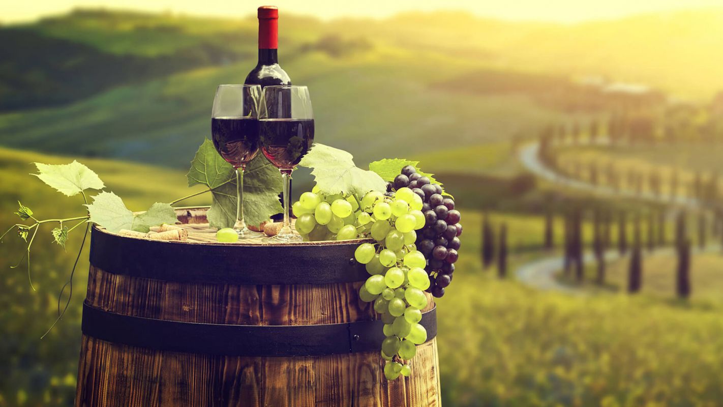 Wine Tours for Uniting Wine Lovers