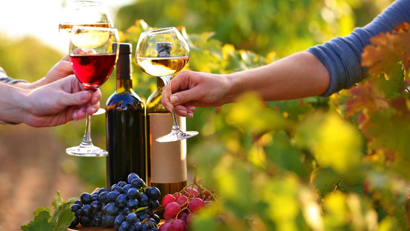 Private Wine Tours-Experience The Fresh in Every Bottle