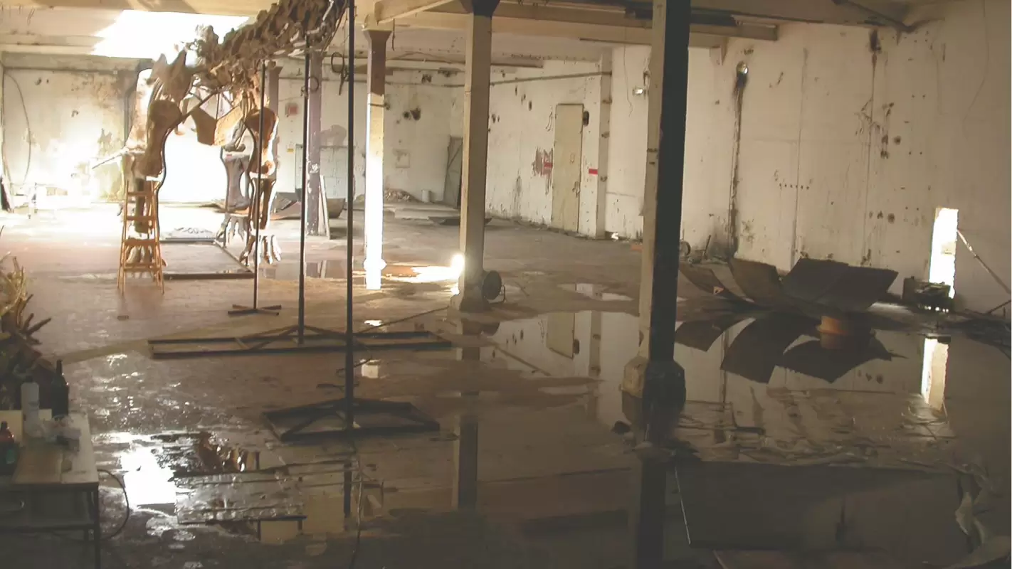 From Deluge to Dazzling – Water Cleanup Service Like No Other. Maple Grove, MN