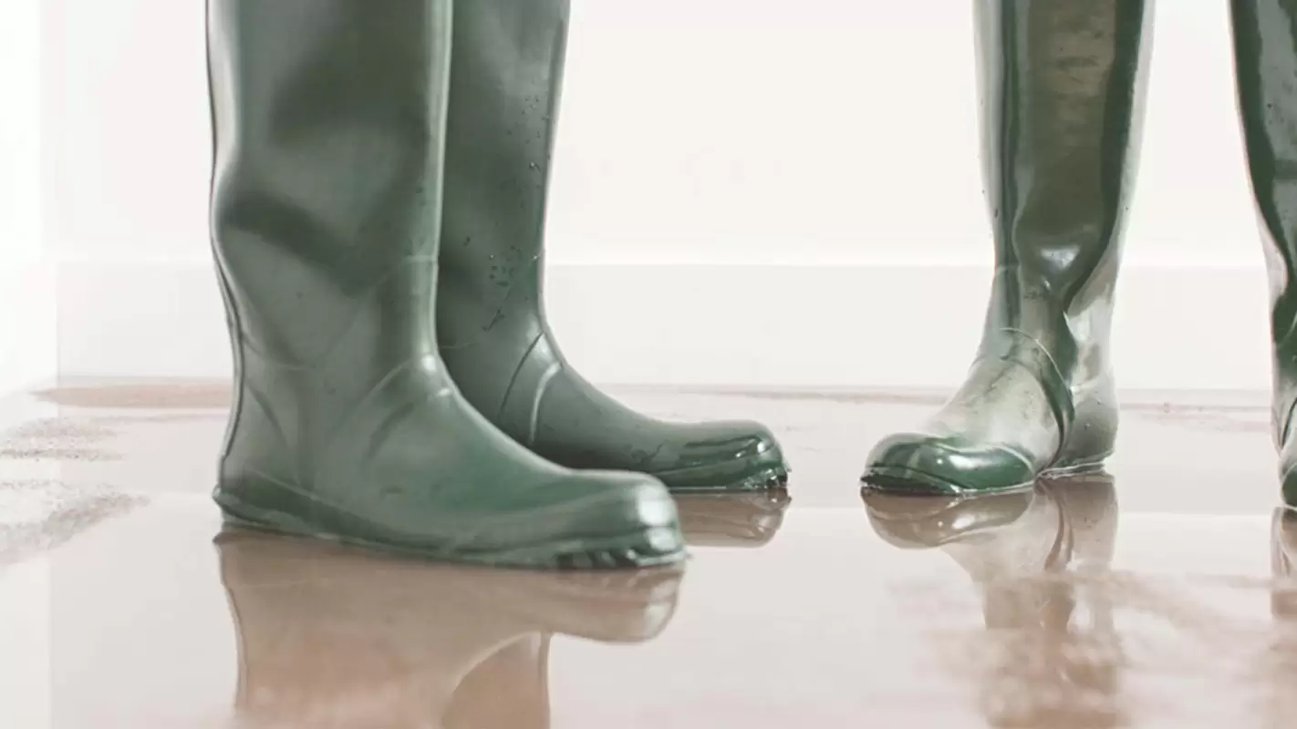 Our Water Damage Mitigation Service Your Shield Against Water Damage in Maple Grove, MN