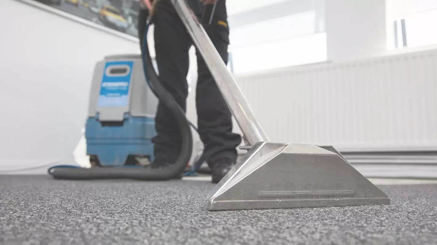 Professional Carpet Cleaners Cleaning Your Carpets to Perfection!