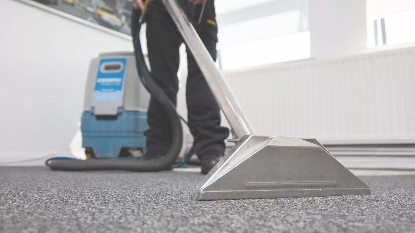 Approach Our Highly Qualified Professional Carpet Cleaners