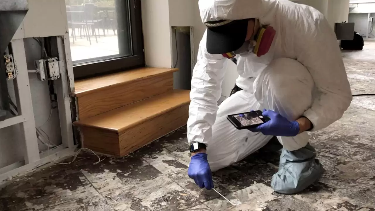 Remove Mold with Our House Mold Inspection