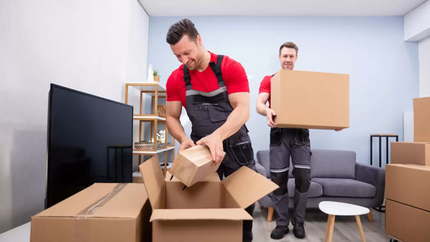 Package delivery service with Professional Packing Experts