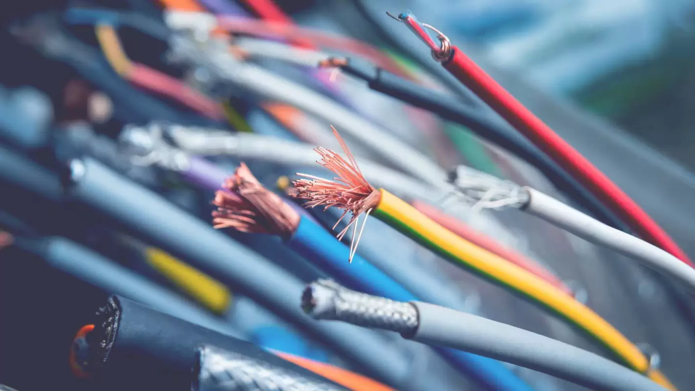 Should I Invest in The Electric Company Near Me?
