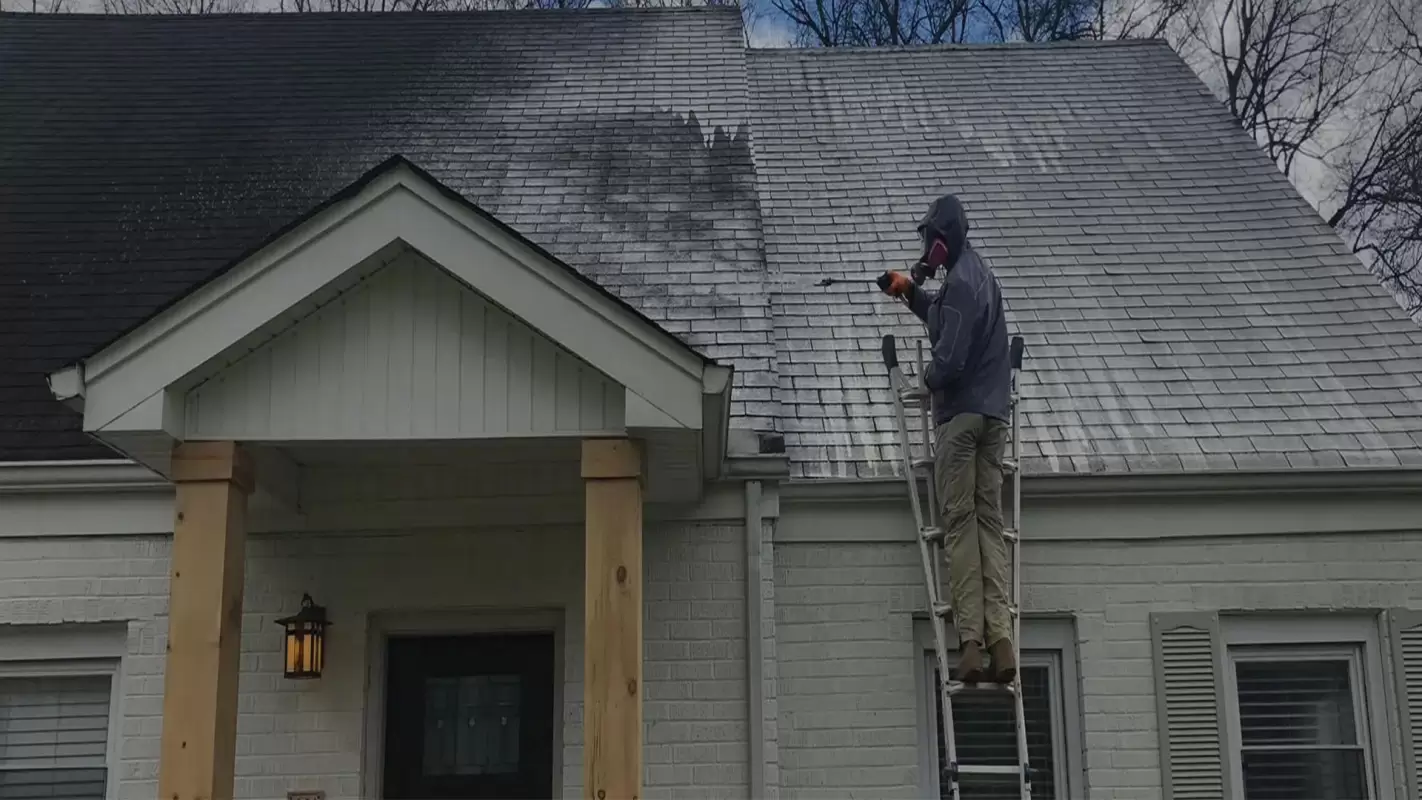 House Washing- Leave The Stains and Dust to Us!