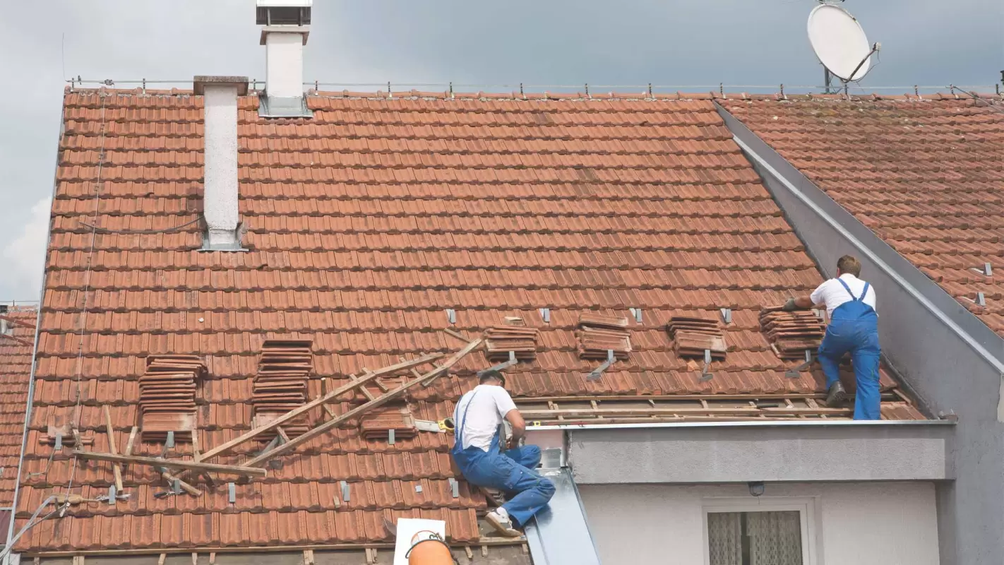 Roof Installation Company Provides Elaborate and Prompt Services