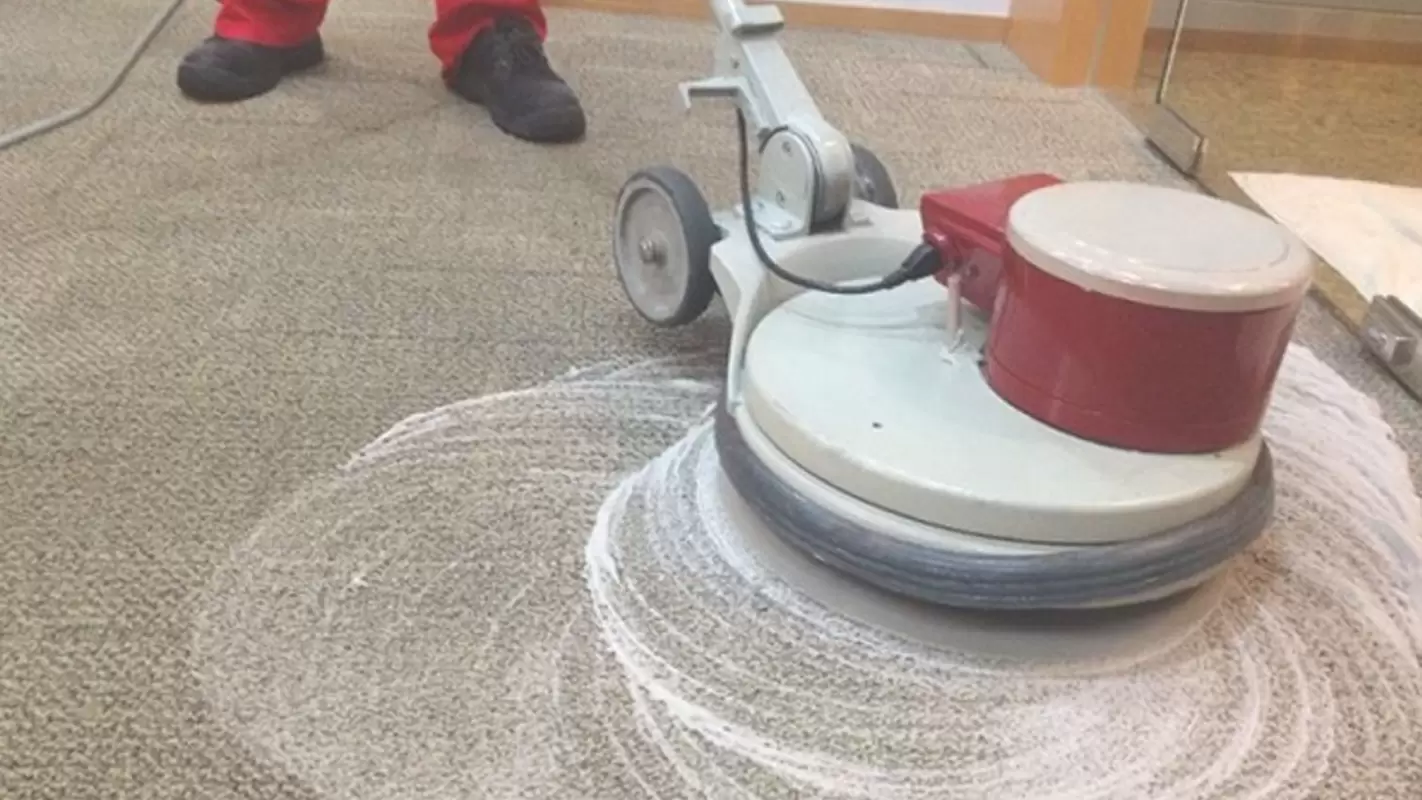 Carpet Shampooing Services That Revive Carpets: