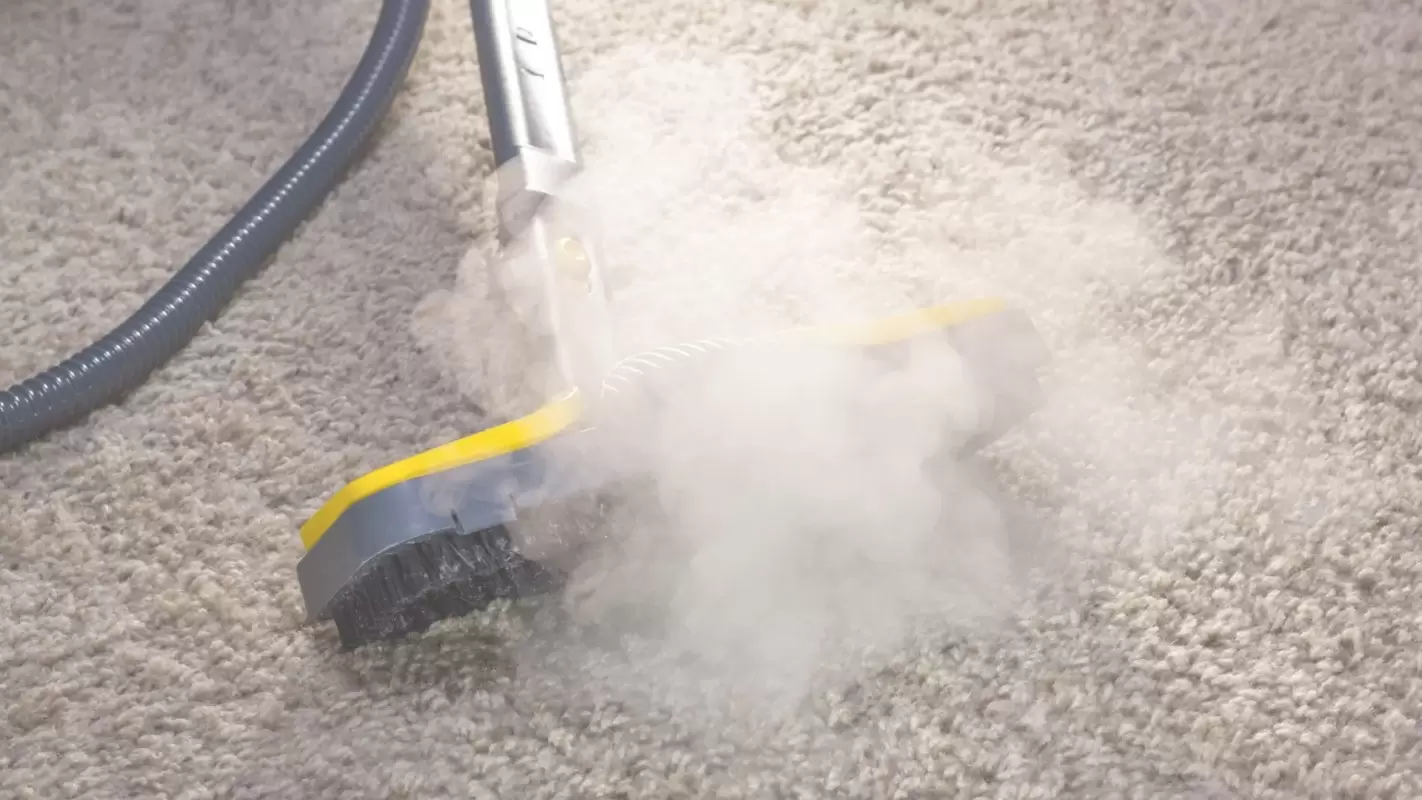 Carpet Steam Cleaning Services That Help You Walk, Sit, And Work Free