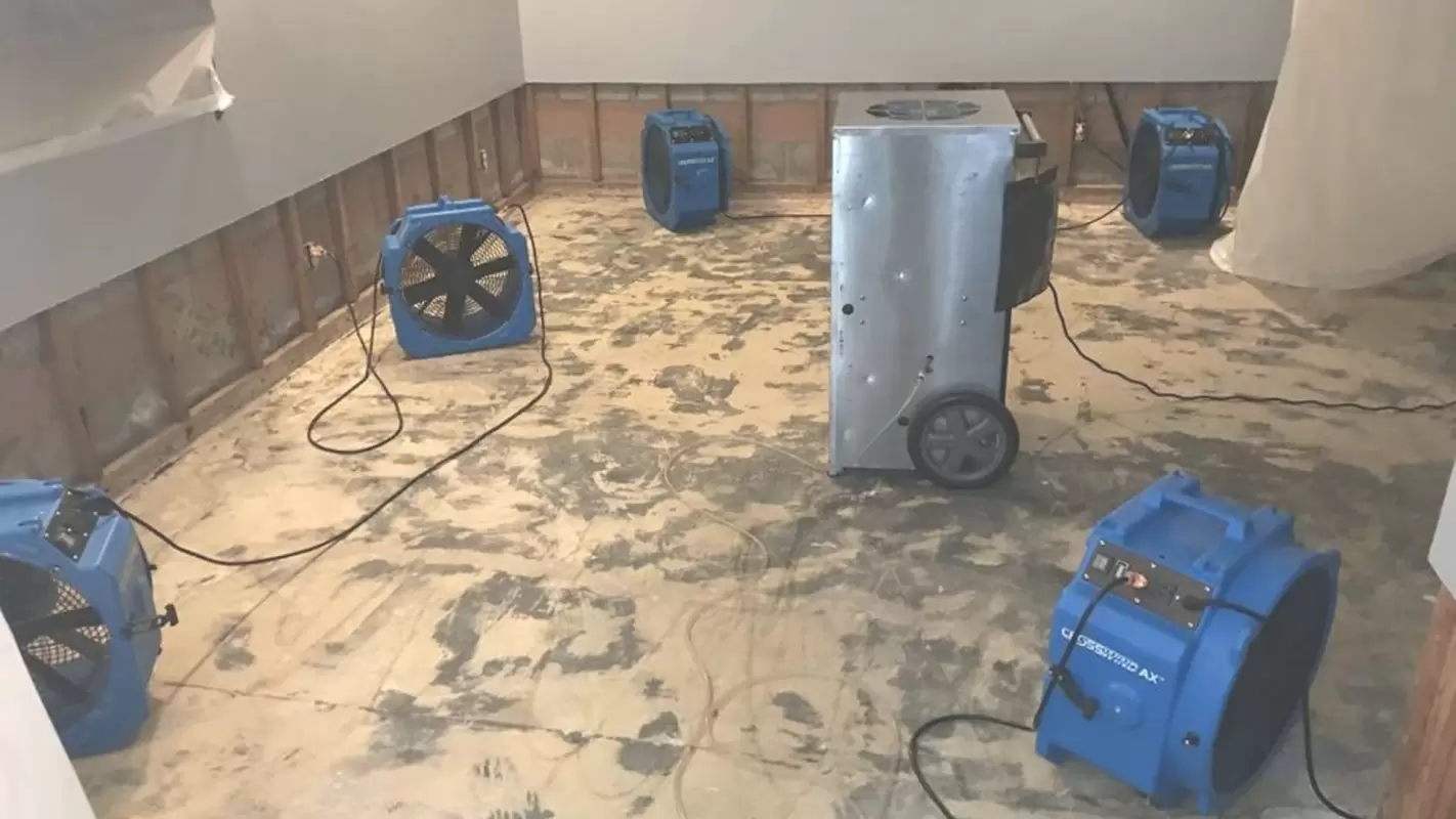 Choose Our Company For 24/7 Water Damage Restoration: