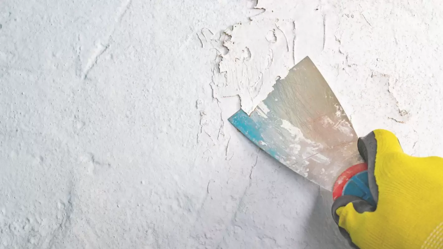 Interested in Re-painting? Call Our Experts For Old Paint Removal!