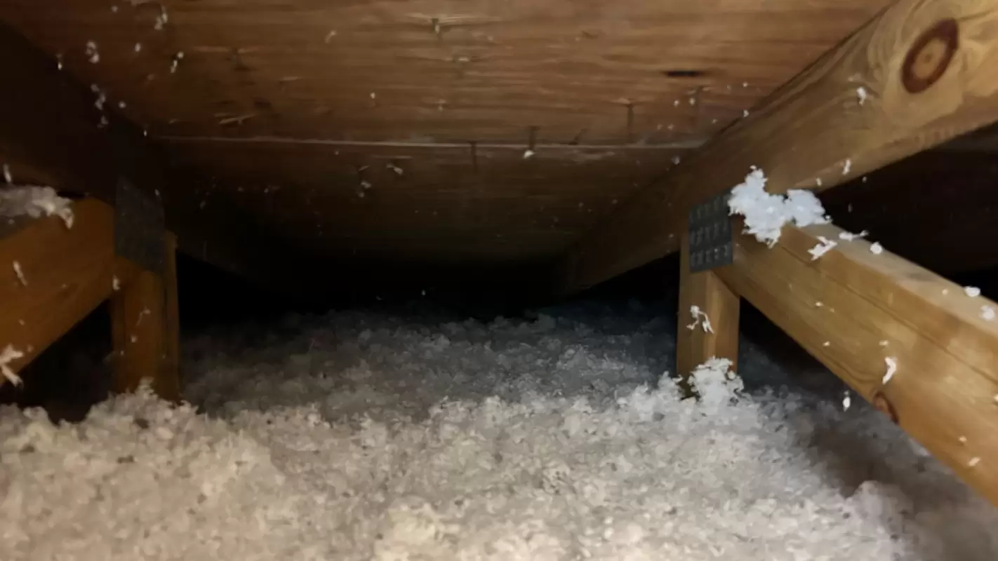 Attic Insulation Services - Choose Our Insulation Experts for Your Home