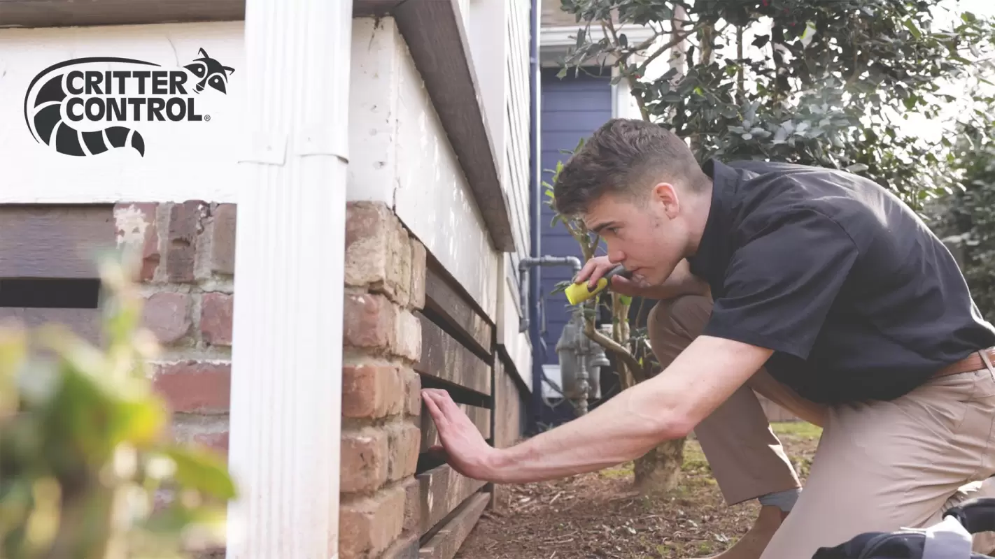 Bug Inspection Specialists Will Make Your Home Safe Again! in Mechanicsburg, PA